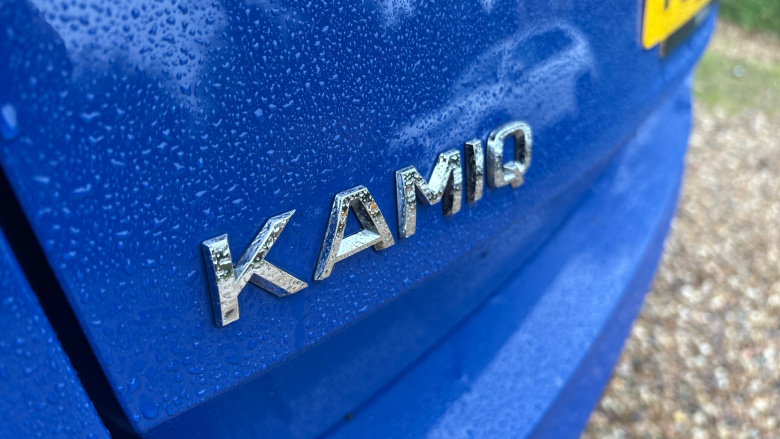 Skoda Kamiq 1.0 TSI 110 SE L Executive 5dr DSG Petrol Hatchback